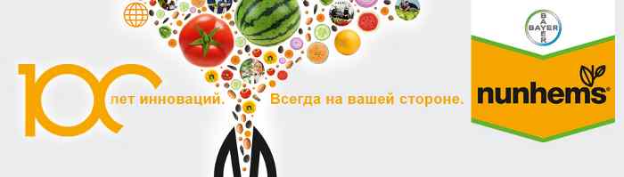 голландской компании Нунемс 