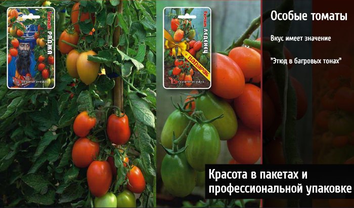 Биотехника Производство и оптовая продажа семян, посадочного материала для профессионалов и садоводов –любителей 