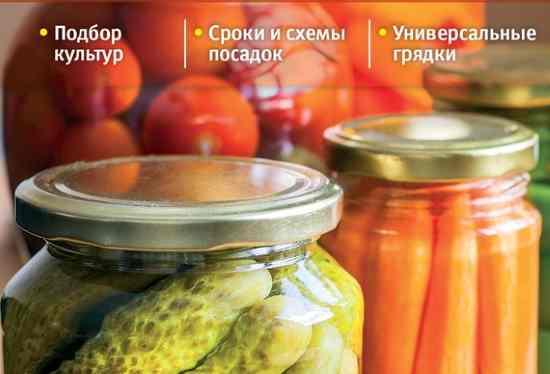 Три урожая с одной грядки