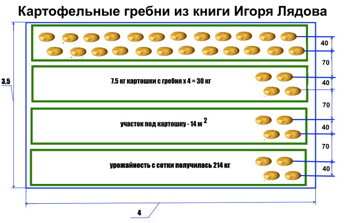 Результат - грядки по книге Игоря Лядова