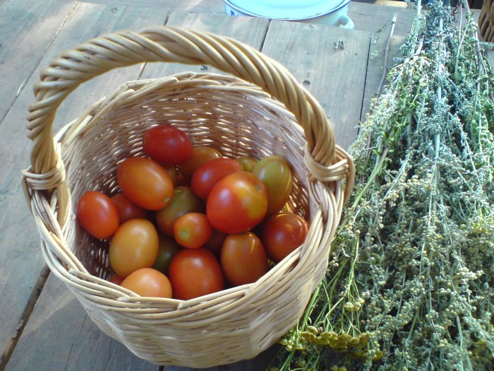 де барао в августе