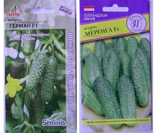 семена огурцов “Меренга F1” и “Герман F1”