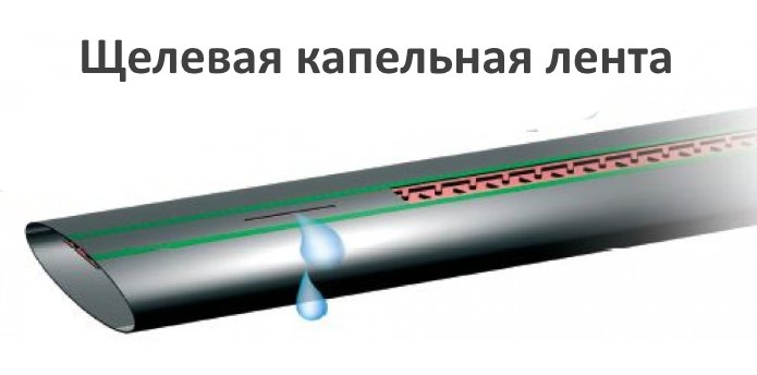 otktdfz rfgtkmyfz ktynf