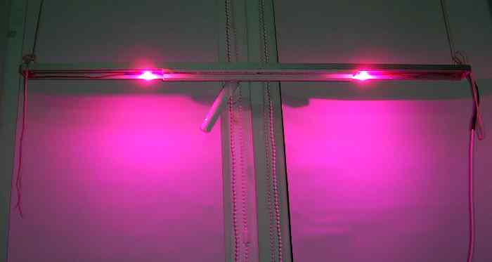 свет фитолампы