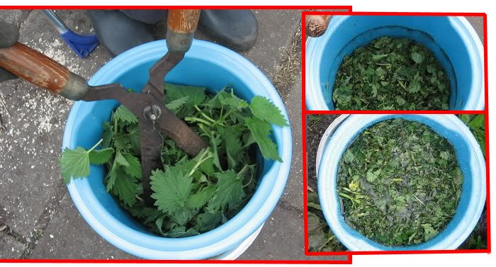 Удобрение из крапивы