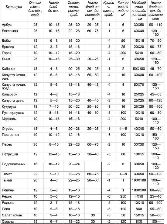 Оптимальные условия для выращивания рассады