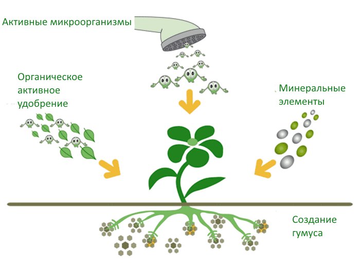 органическое земледелие
