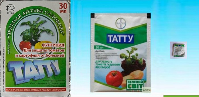 Татту против фитофторы