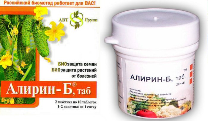 Алирин Б против фитофторы