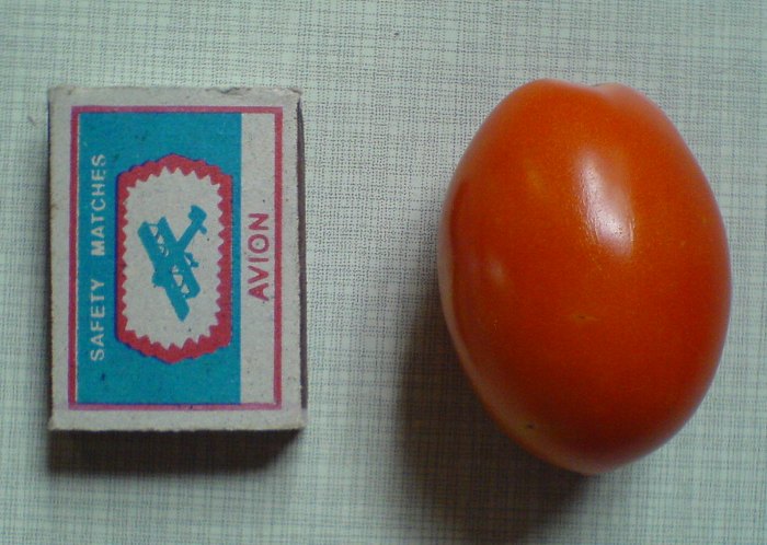 первый красный помидор де Барао