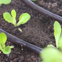 Капельные ленты для полива