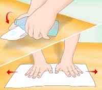 Рассада в улитке. Эксперимент