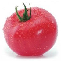 Томаты для открытого грунта