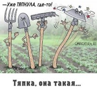 Ваша помощница &ndash; тяпка