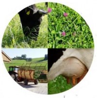 Принцип первый. Природное земледелие по Лядову