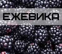 Ежевика при диабете